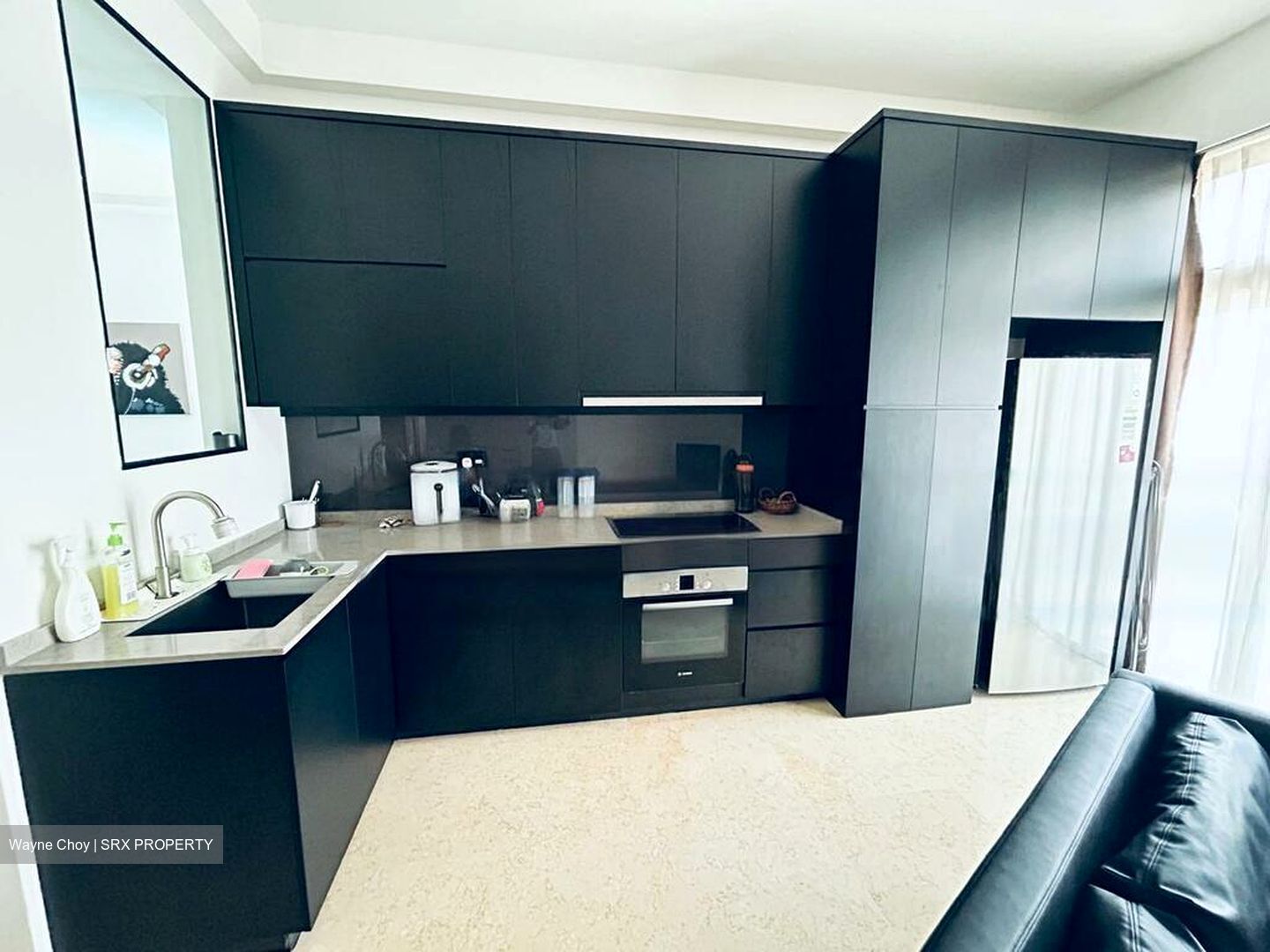 The Aston (D10), Apartment #462687731